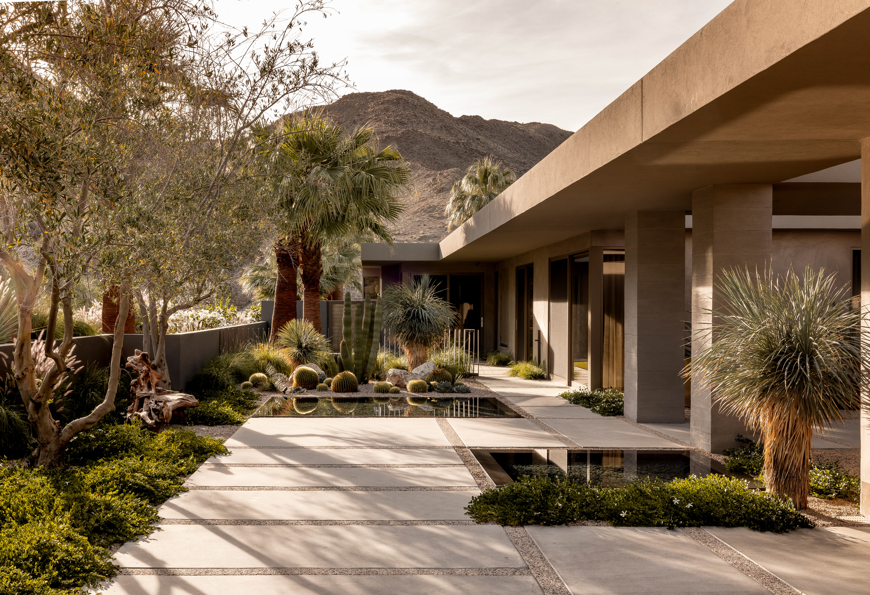 Grand entry with reflective pools, concrete pads, and lush cacti and palm garden, inviting you into Desert Retreat's modern oasis.
