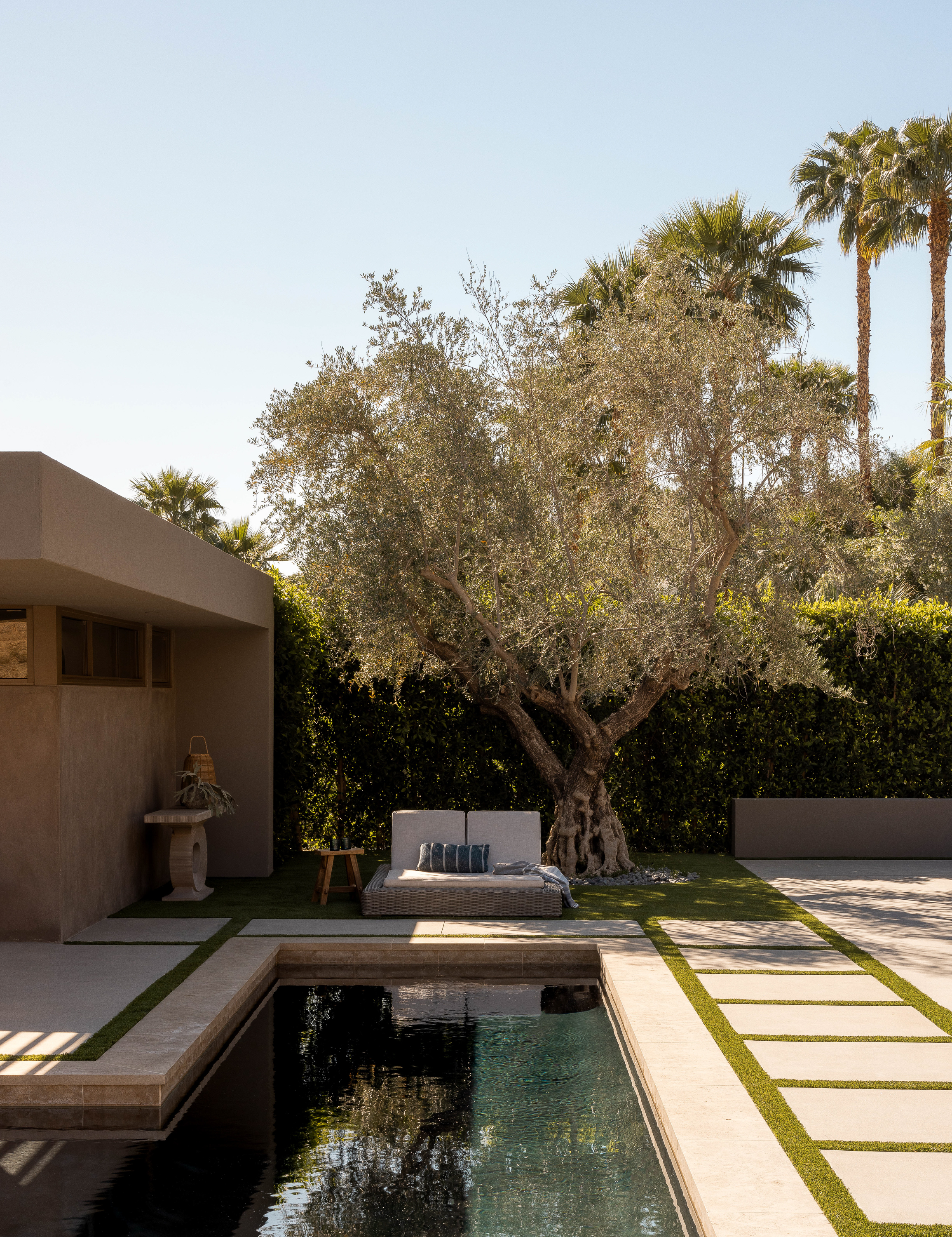 Quiet corner of the courtyard at Palm Springs Retreat: An olive tree stands majestically next to a double chaise lounge, offering a serene and secluded spot for relaxation and contemplation